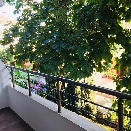 джорджия Pensiune