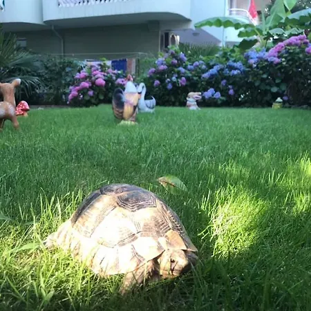 Гостевой дом джорджия 3*