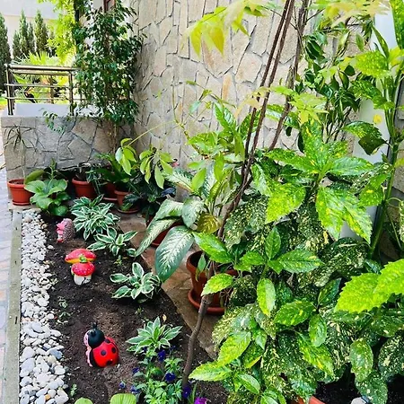 джорджия 3* Kiten (Burgas)