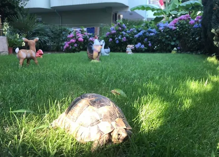 Къща за гости джорджия 3*