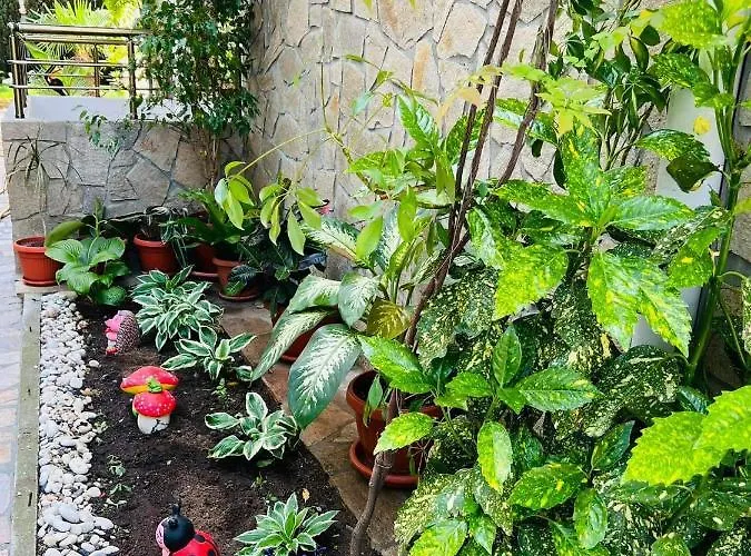 джорджия 3* キテン